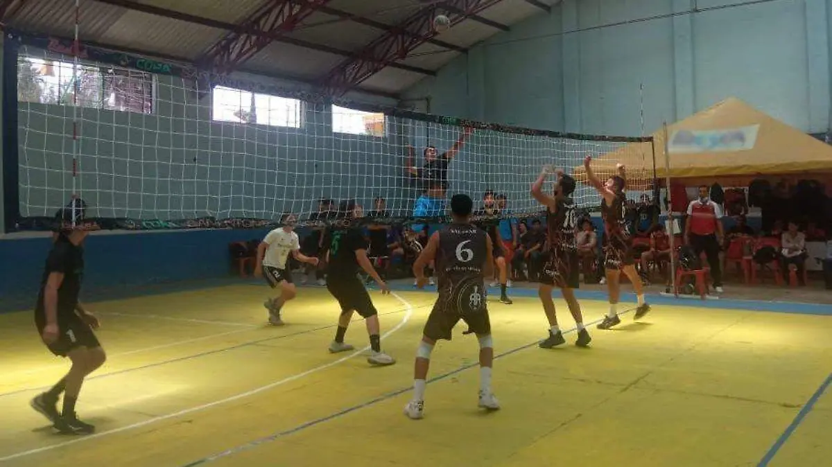 Voleibol 